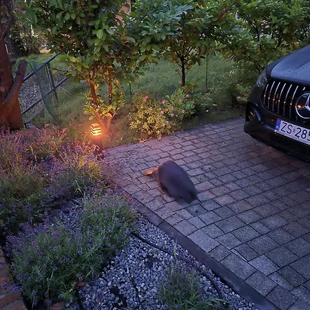 River House غدانسك