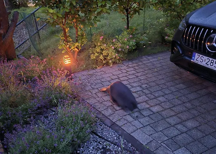 River House Γκντανσκ